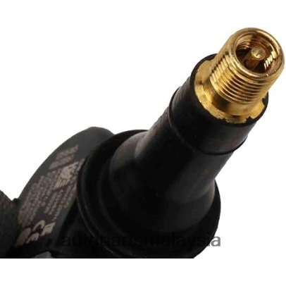 tpms buick/chevrolet/cadillac/gmc sensor tekanan tayar 13516165 Bahagian Kereta Prasekolah 262Z4X2666
